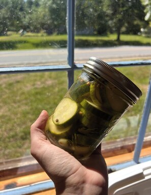 Food and drink - Quaint Lakeside Cabin on Minerva Lake-Camp 11 (Olmstedville)