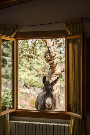 Interior - House "Tramuntana" - Valldemossa (Son Maxella)