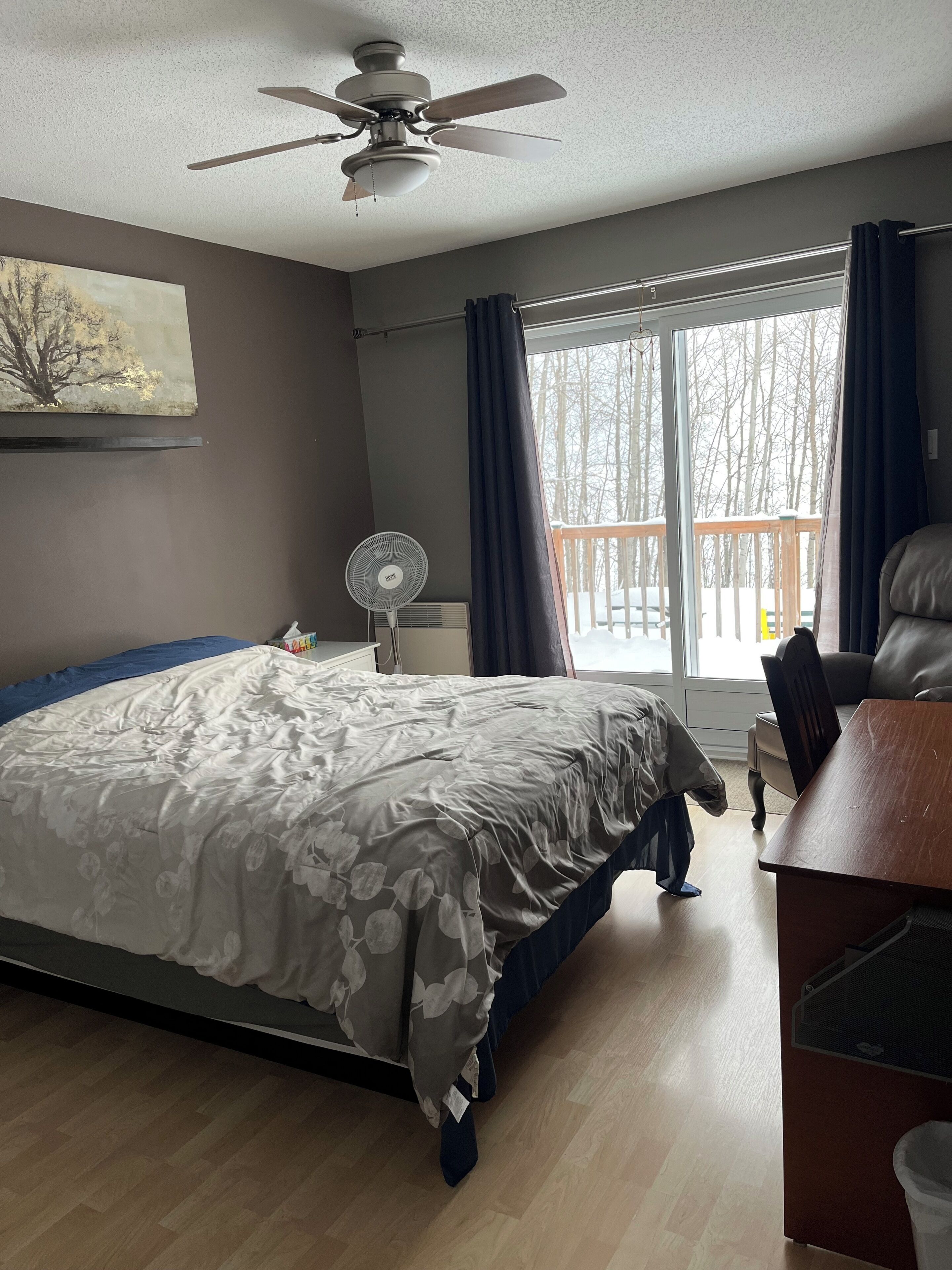 Iron/ironing board, WiFi, bed sheets