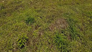 Zwei Holzhütten mit geneigten Dächern, gelegen auf einem grasbewachsenen Hügel unter blauem Himmel.