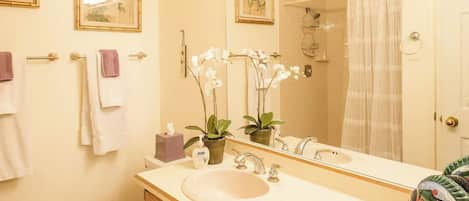 Shower, hair dryer, towels, soap