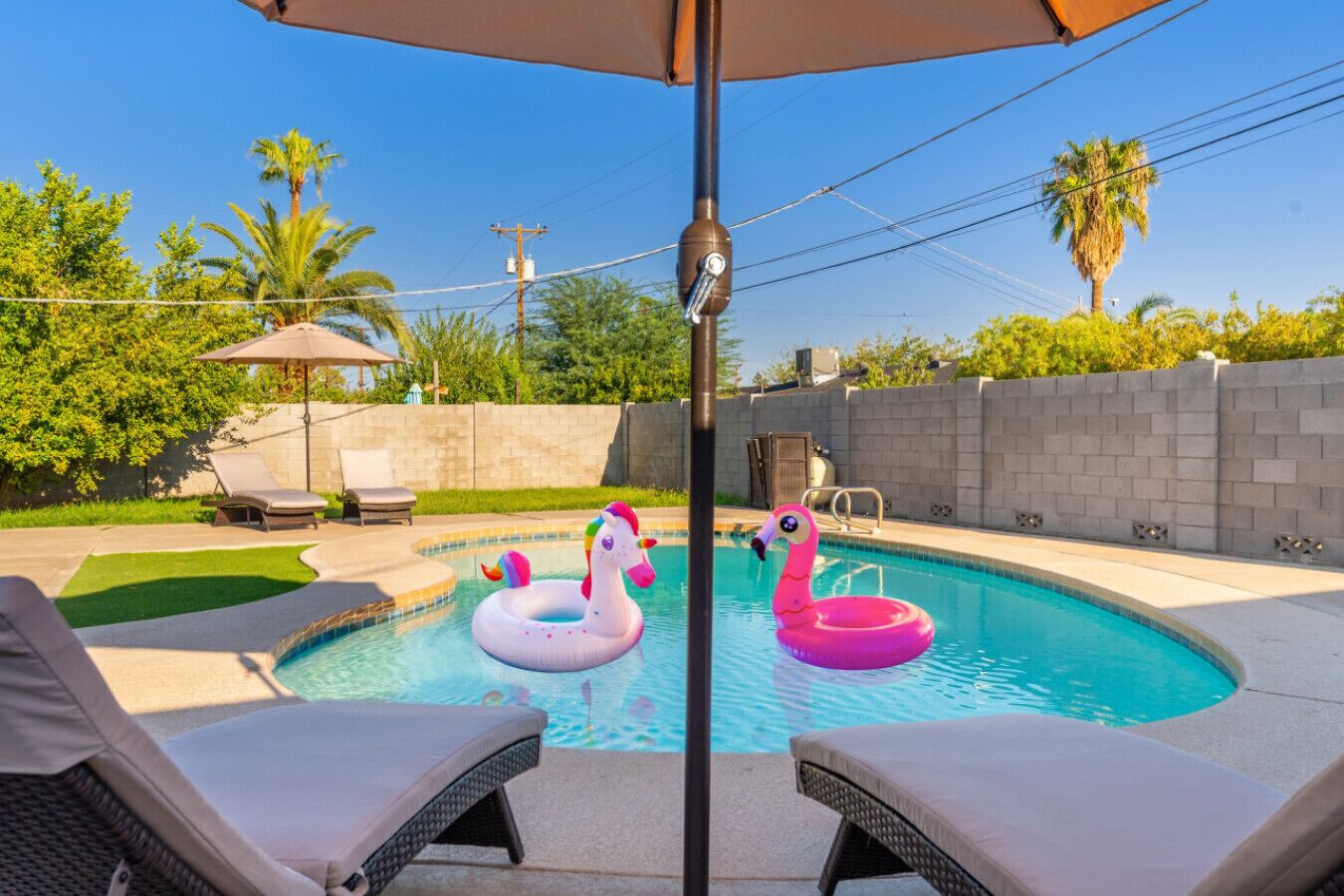 A swimming pool with lounge chairs and inflatable flamingos.