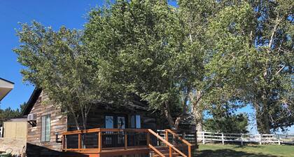 Rustic Updated Cabin located on the Cliffs of the Snake River