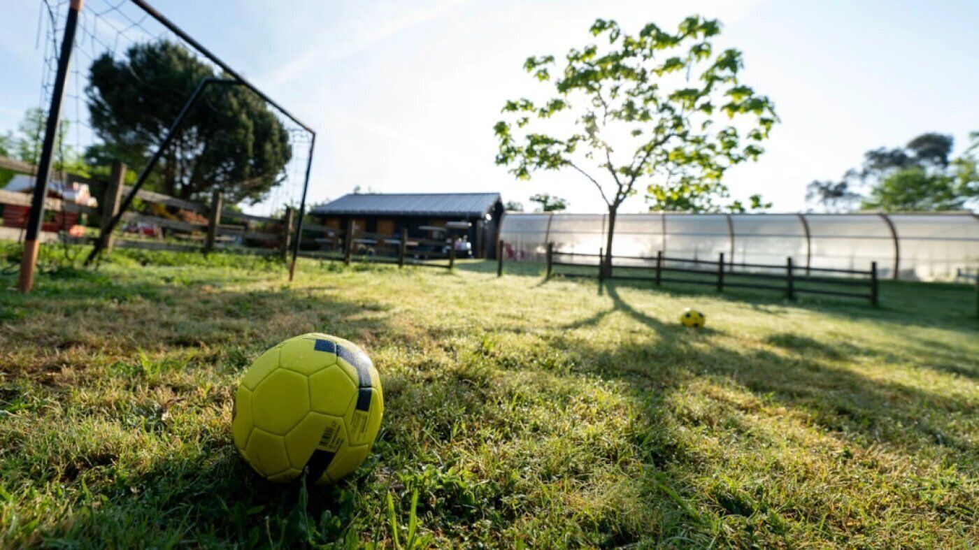 A soccer ball on grass with a fence and trees in the background.