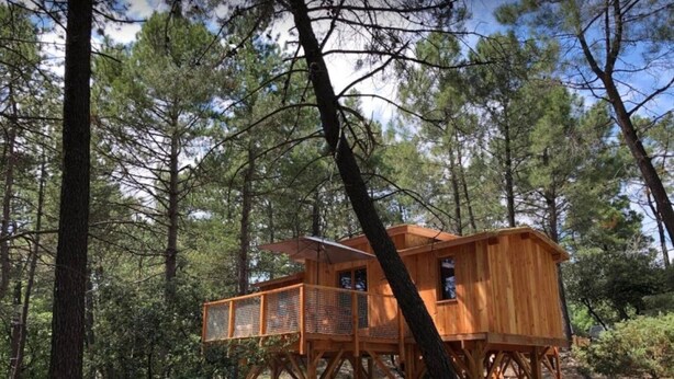 A wooden treehouse with a balcony, surrounded by pine trees.