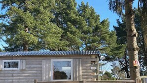 A small log cabin with a metal roof, a wooden deck, and a gated entrance. - ZEcamping 3* animé piscine chauffée animaux acceptés locatif 17m2 (Guémené-Penfao)