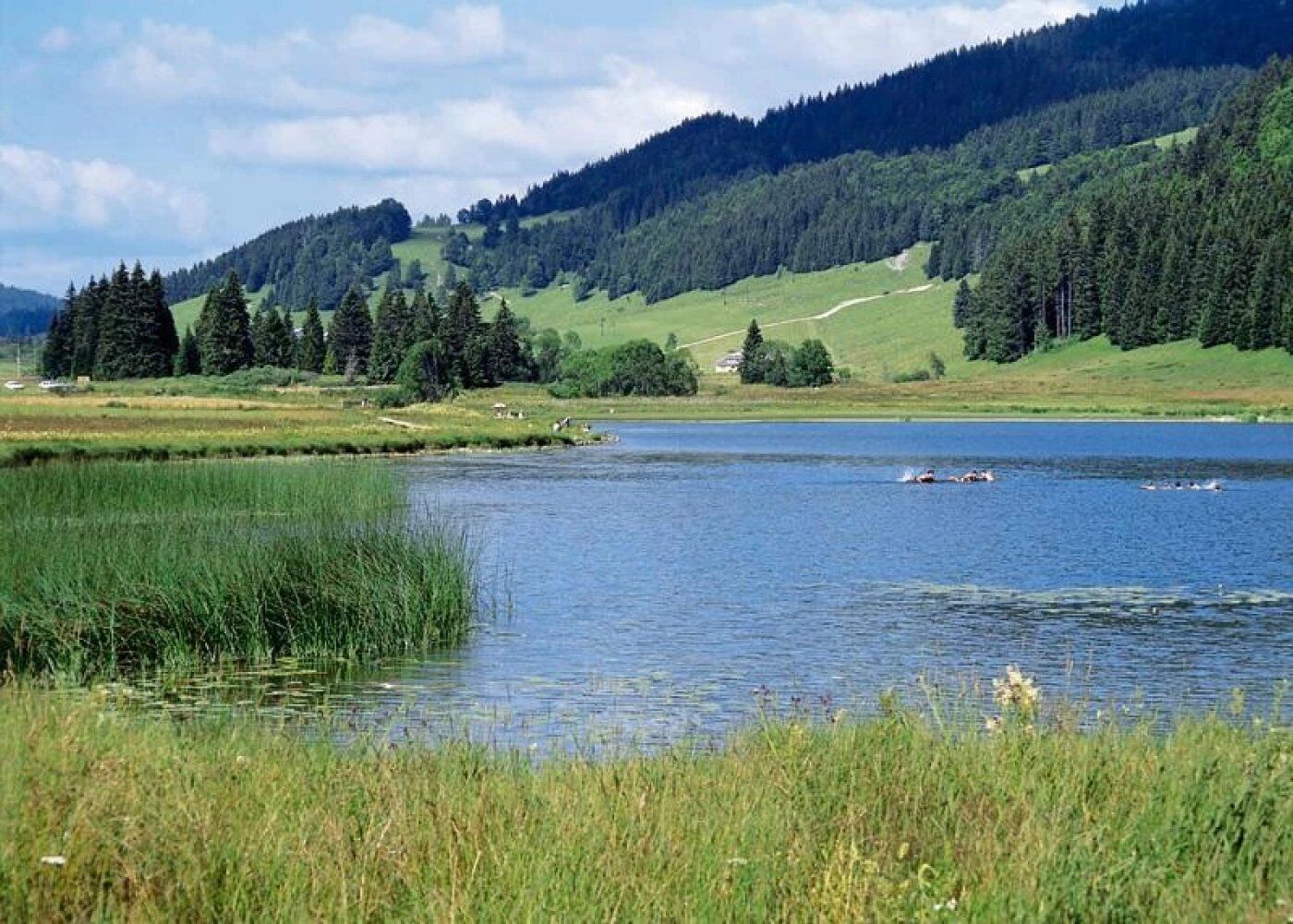 A serene lake surrounded by lush green hills and dense forests.