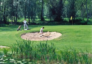 Golf - ZEcamping 4* animé piscine locatif 4 pers (Lons)