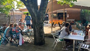 An outdoor dining area with tables and chairs under a large tree, a wooden building in the background, and a covered seating area. - ZEcamping 3 étoiles piscine chauffée tente 18m2 (Lussas)