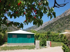 Property grounds - ZEcamping 3* animé piscine animaux acceptés hammam mobil-home 21m2 (Buis-les-Baronnies)