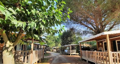 ZEcamping 3* animé piscine chauffée locatif 17m2 5 pers