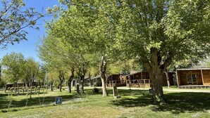 Um parque de campismo com cabanas de madeira, árvores e uma zona relvada com o símbolo de acessibilidade para cadeiras de rodas.