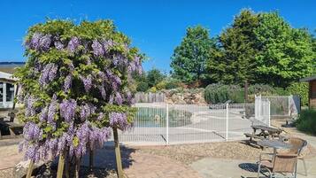 Un espacio al aire libre cercado con un pérgola cubierta de flores moradas, una piscina y mesas de picnic.