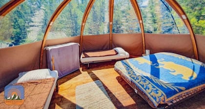 ZEcamping 2 étoiles pataugeoire piscine animaux acceptés chalet 35m2