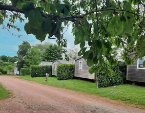 A rural road leading to a row of mobile homes with green lawns and hedges. - ZEcamping 3 étoiles animé piscine chauffée locatif BBQ 33m2 (Argentonnay)