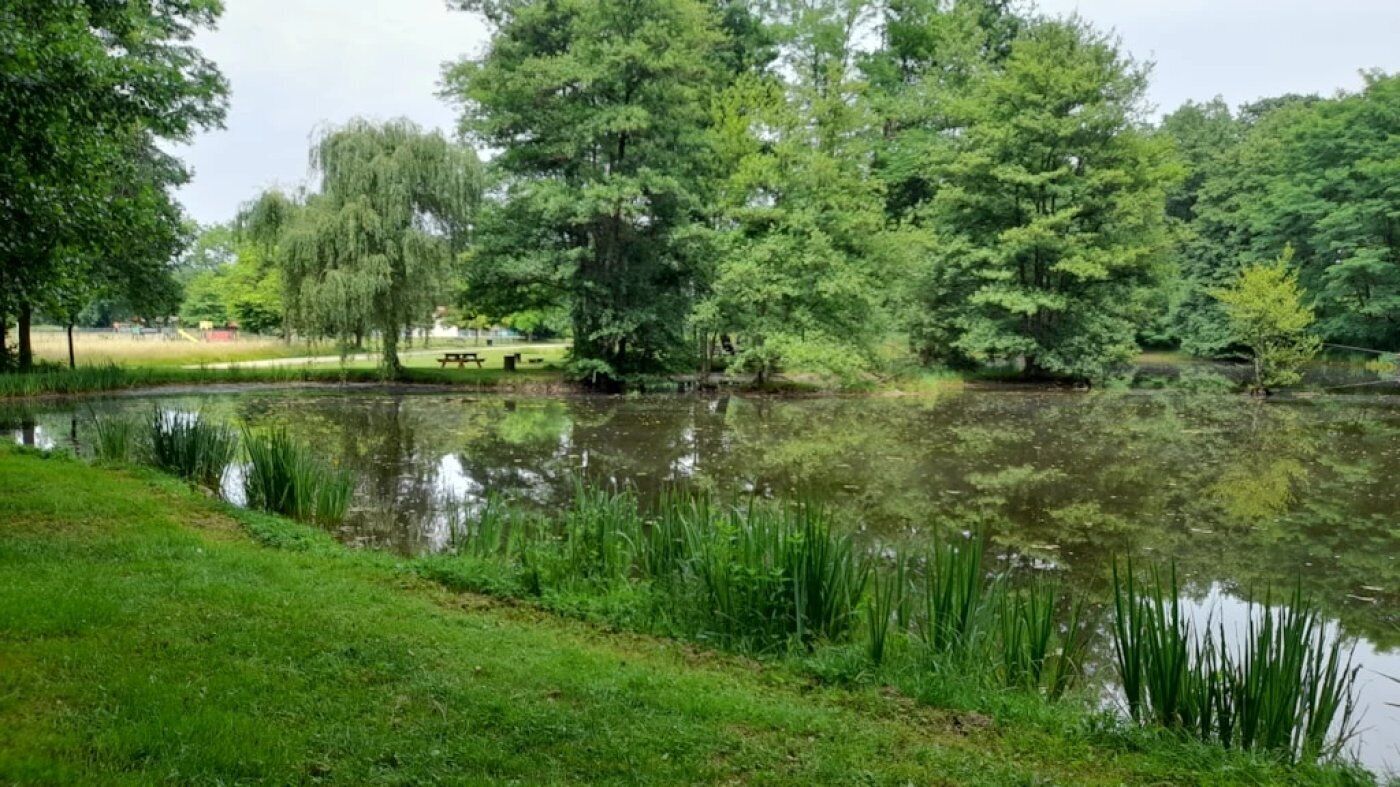 A serene park with a pond, trees, and a picnic area.