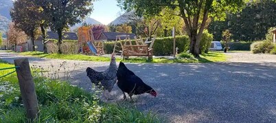 ZEcamping 3 étoiles toboggans locatif BBQ 5m2 2 pers