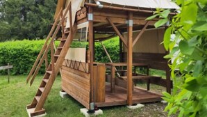 A wooden structure with a sloped roof and a ladder, surrounded by greenery.