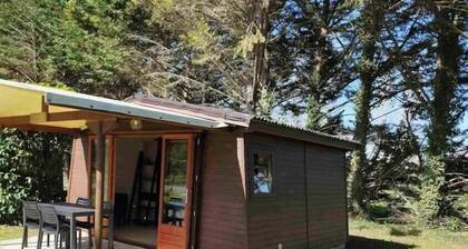 ZEcamping 3* piscine chauffée pataugeoire chiens acceptés locatif 12m2