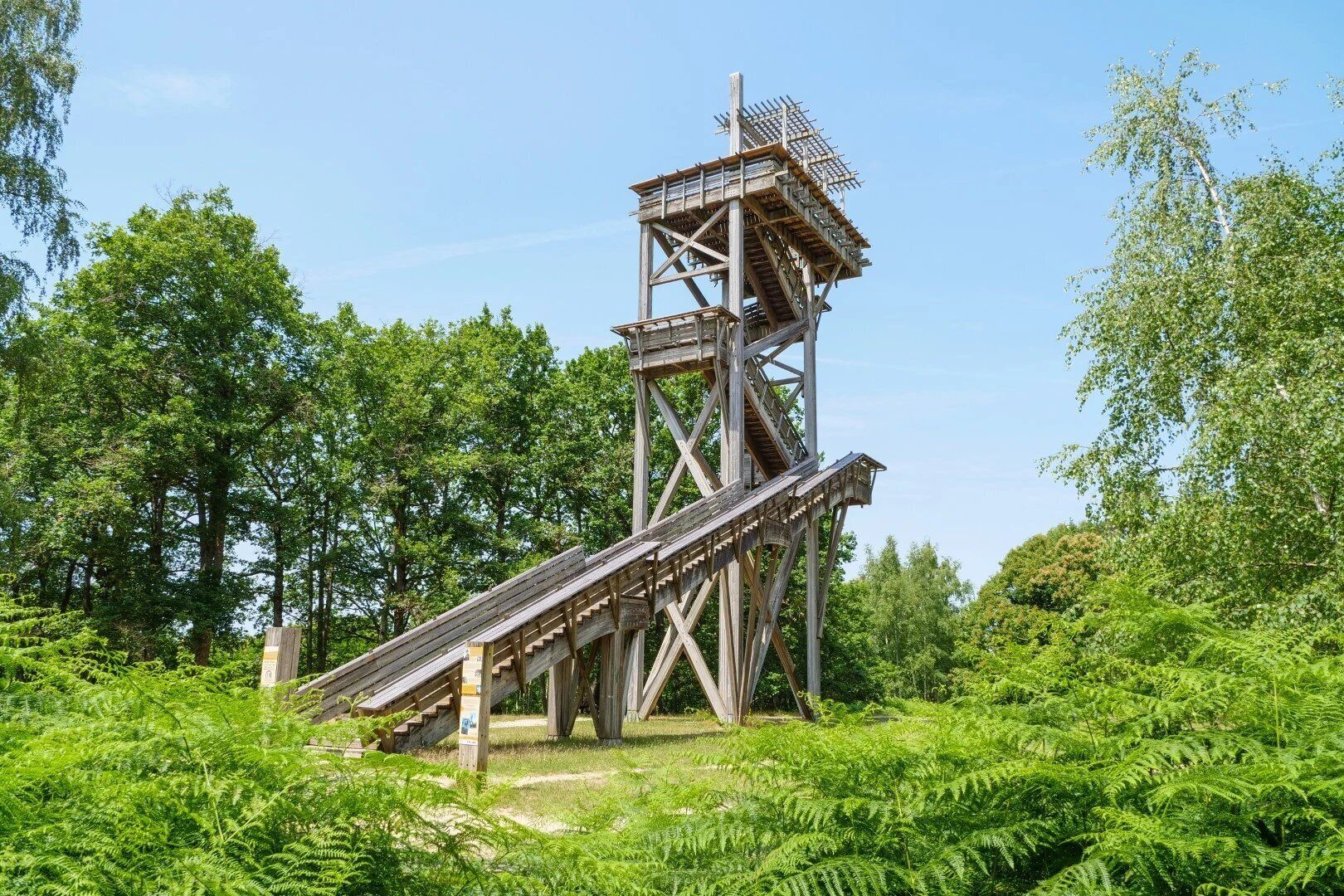 Une tour d’observation en bois, dotée d’un escalier et d’une plateforme panoramique, entourée d’un feuillage verdoyant et dense.