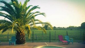 Une piscine avec deux chaises, un palmier et, au fond, un terrain clôturé.