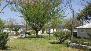 Un barrio residencial con casas, un árbol grande y un muro de piedra.