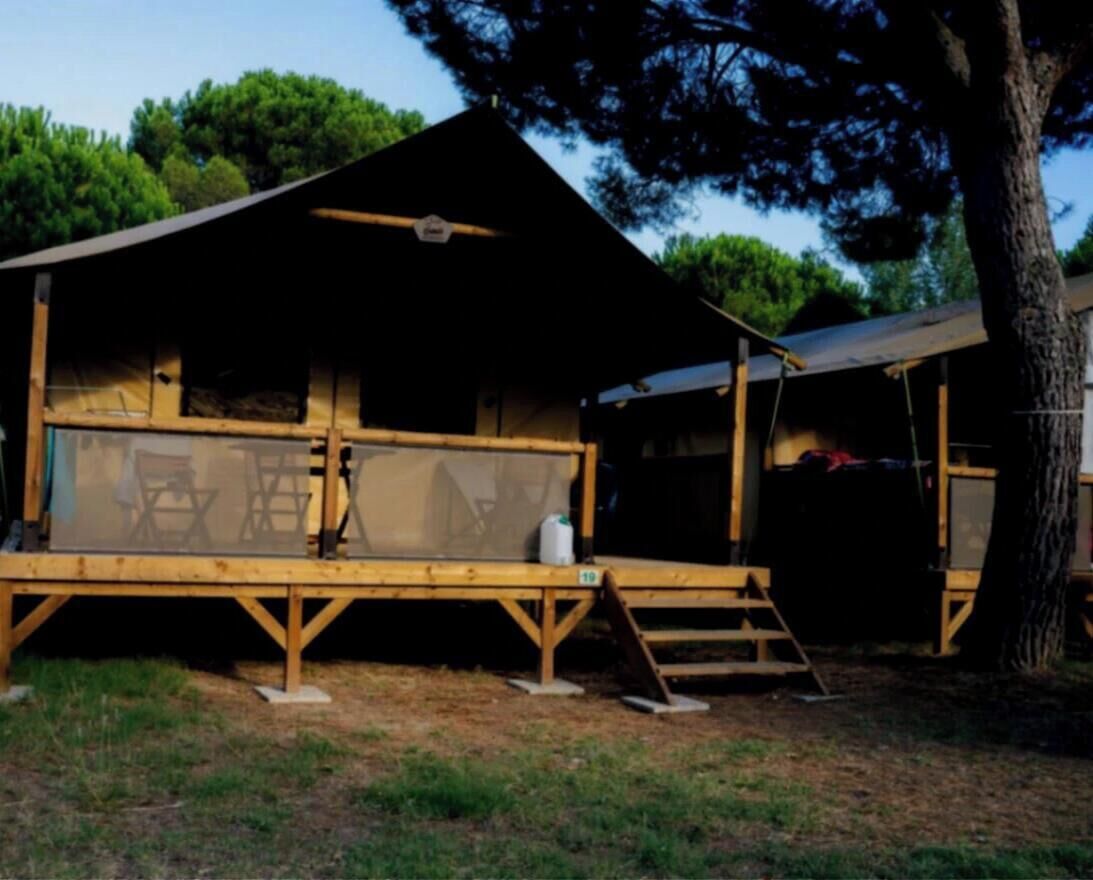 A wooden cabin with a covered deck, a ladder, and a chair.