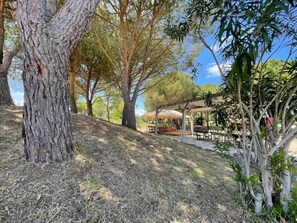 Terrace/patio - ZEcamping 3* dog friendly locatif BBQ 5 pers (Sigean)