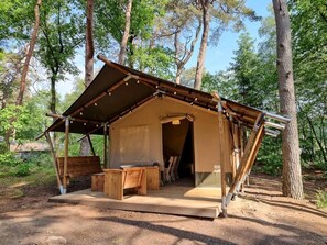 Property grounds - ZEcamping 2 étoiles pataugeoire piscine locatif 38m2 5 pers (Fenouillet)
