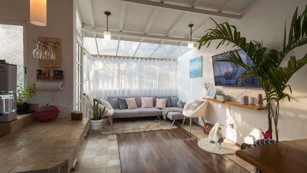 Ein modernes Wohnzimmer mit einer Couch, Sesseln, einem Fernseher und einer großen Pflanze.