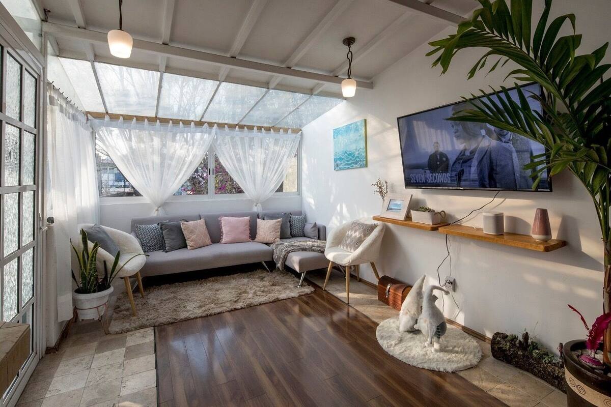 A living room with a sofa, chairs, a TV, and a large plant.