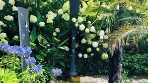 A wooden deck with a metal structure, surrounded by lush greenery and flowering plants. - Large air-conditioned family home with private, heated, secure swimming pool (Seignosse)