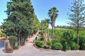 Property grounds - Villa Rubino, Elegant Country House with Pool (Syracuse)