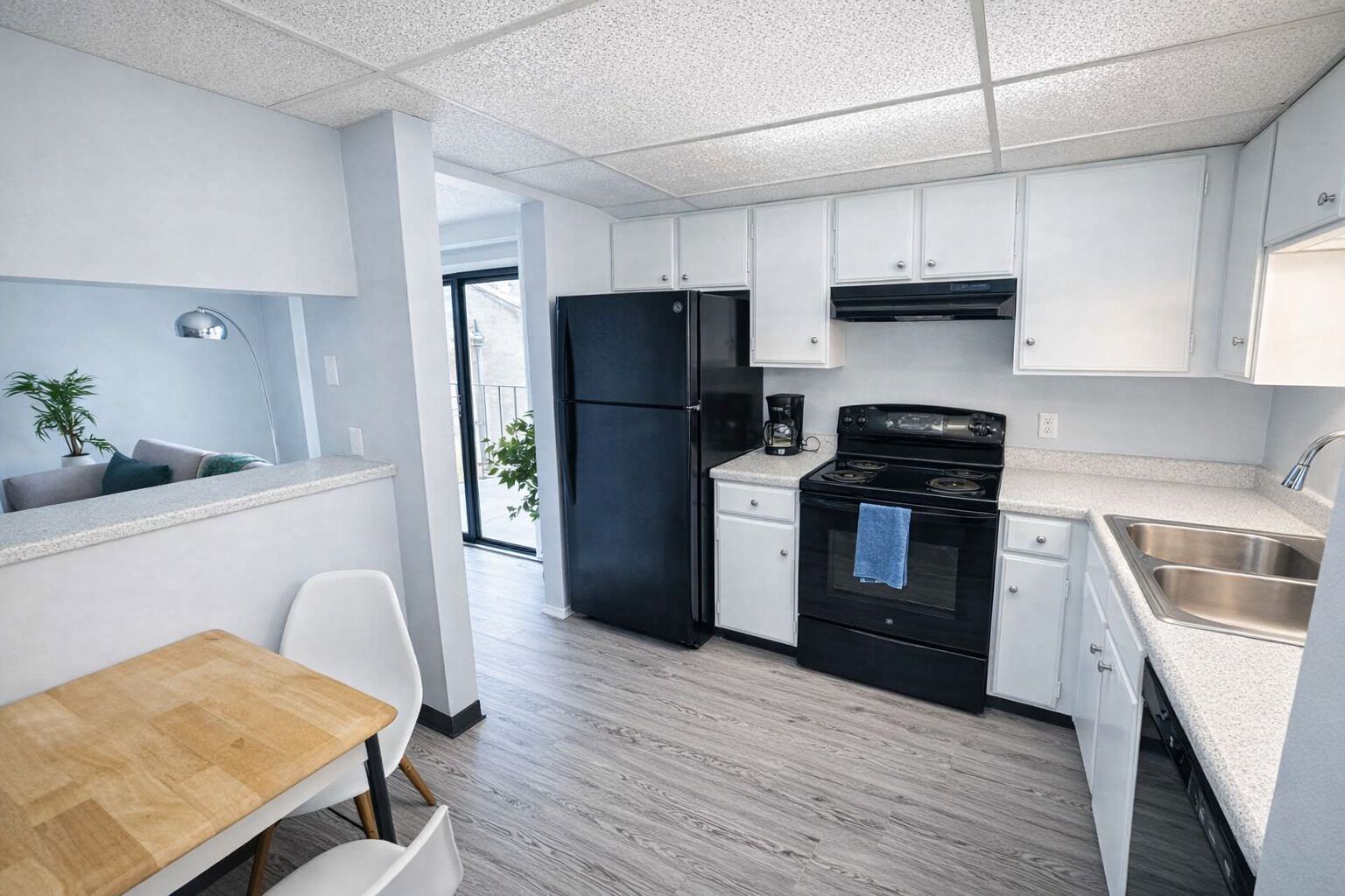 Fridge, oven, stovetop, dishwasher