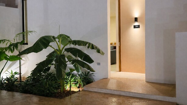 Et moderne interiør med en betongulv, en stor stueplante og en døråbning til et rum med en lampe.