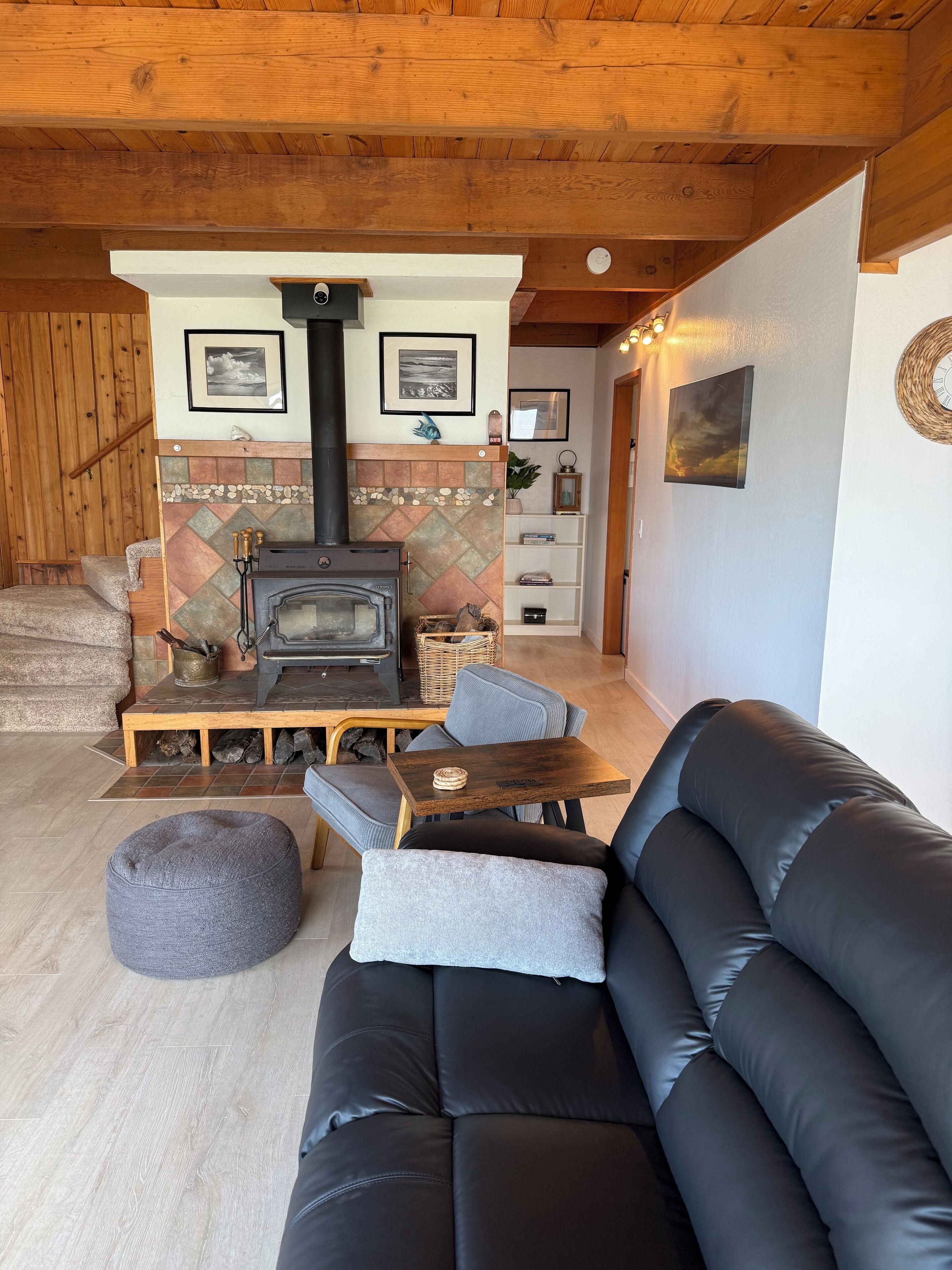 TV, fireplace, books