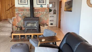 TV, fireplace, books