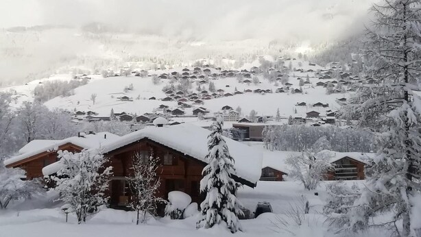 A snow-covered village with wooden cabins and a prominent tree in the foreground. - Ski-in/ Ski-out Nordostwand 4-Bett-Ferienwohnung by Interhome (Grindelwald)