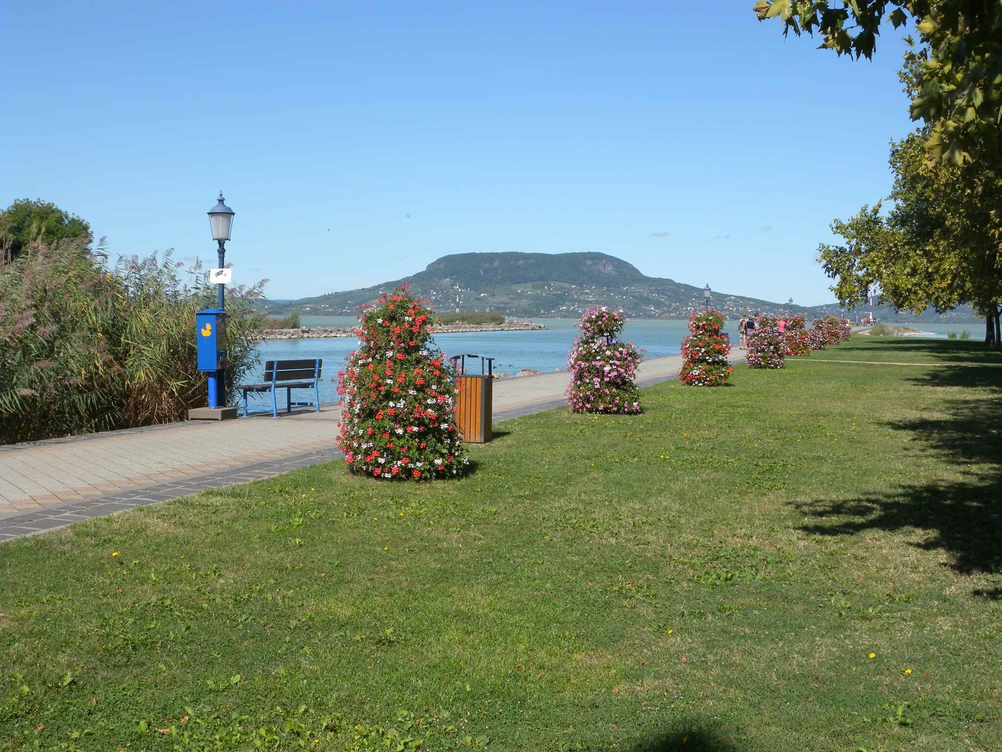 Un parque con un sendero, bancos y arreglos florales.