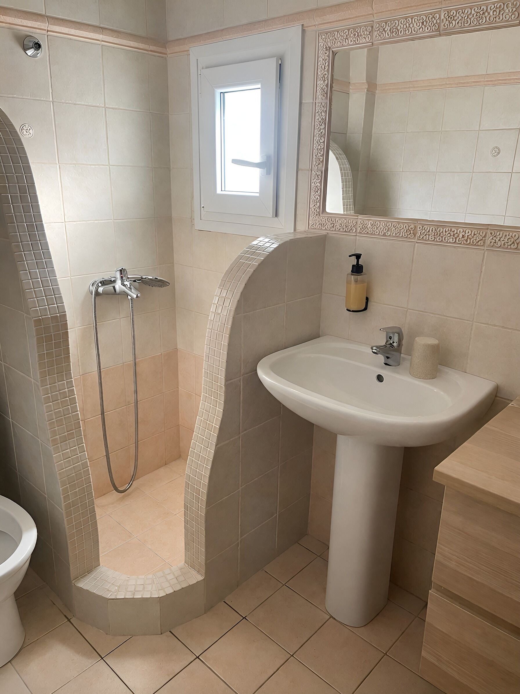 Hair dryer, towels, soap, toilet paper