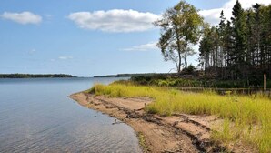 A natural landscape with a lake, sandy shore, grassy areas, and trees.