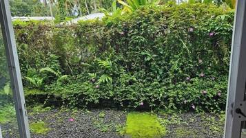 Terrain de l’hébergement