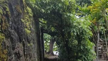 Terrain de l’hébergement