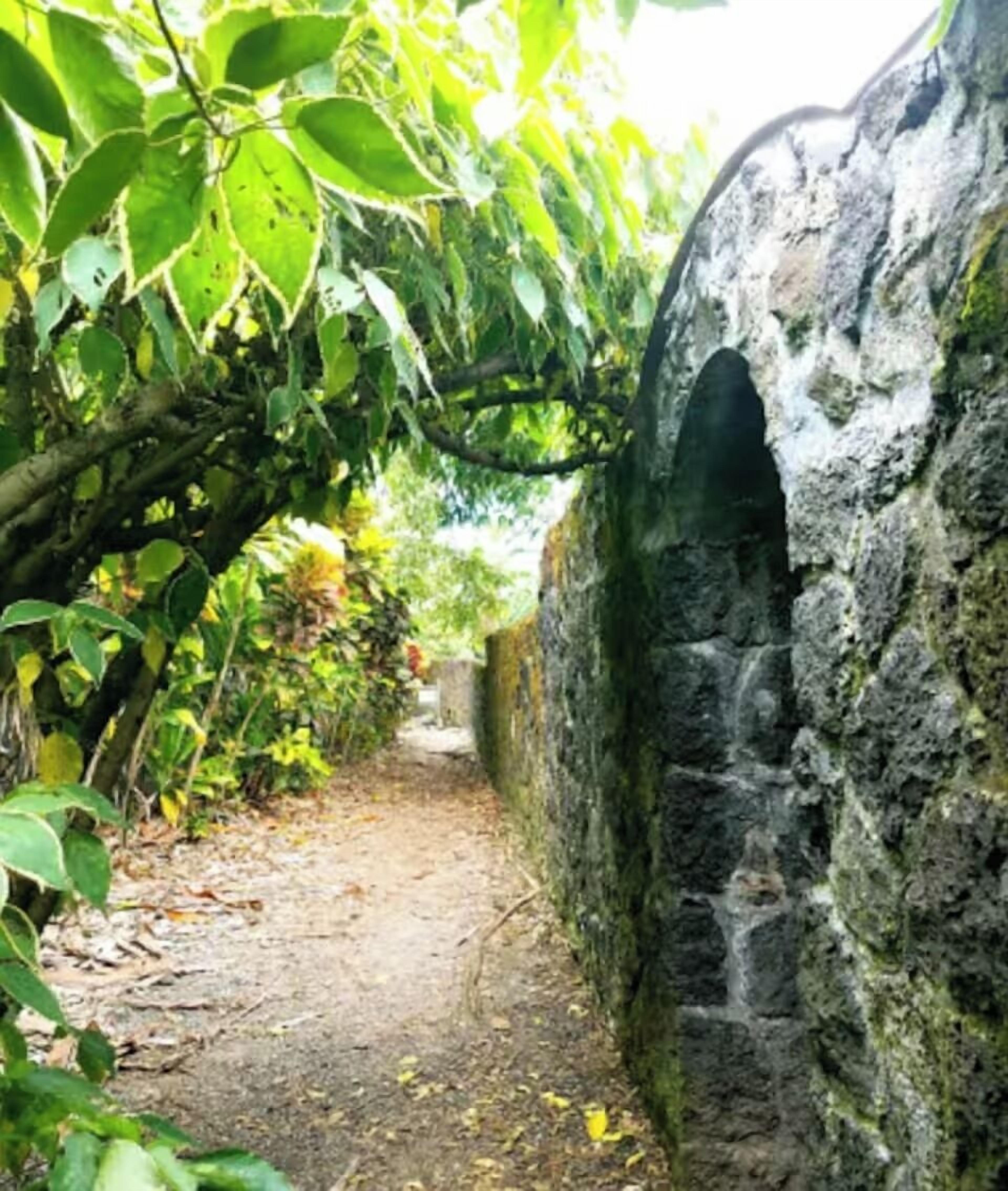 Terrain de l’hébergement 