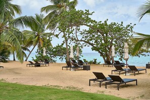 House - Sublime LUX Condo Terrenas Jaccuzi Beachfront (Las Terrenas)