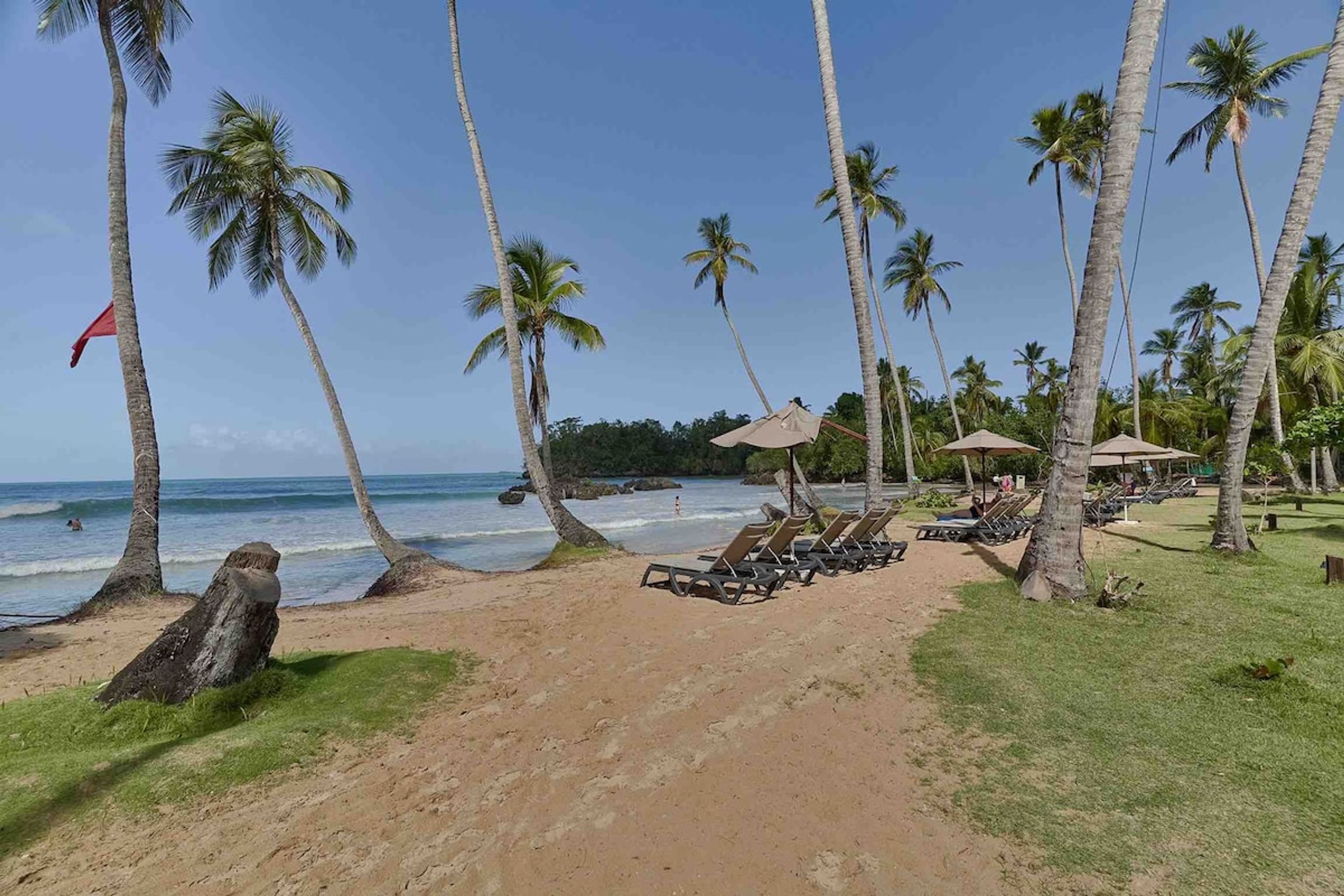 Une plage bordée de palmiers, un sentier sablonneux et des chaises longues.