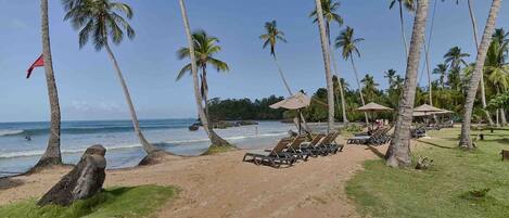 Une plage bordée de palmiers, un sentier sablonneux et des chaises longues.