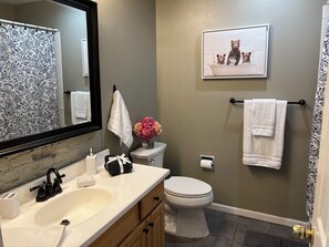 Bathroom - Charming 3-bedroom apartment with AC in lively St. Louis (St. Louis)