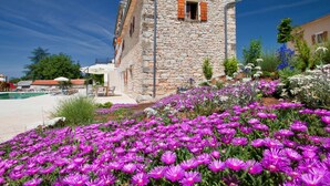 Ein Steinhaus mit kleinem Fenster und Tür, umgeben von einem Garten mit violetten Blumen.