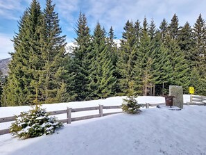 Property grounds - Naviser Hütte by Interhome (Navis)